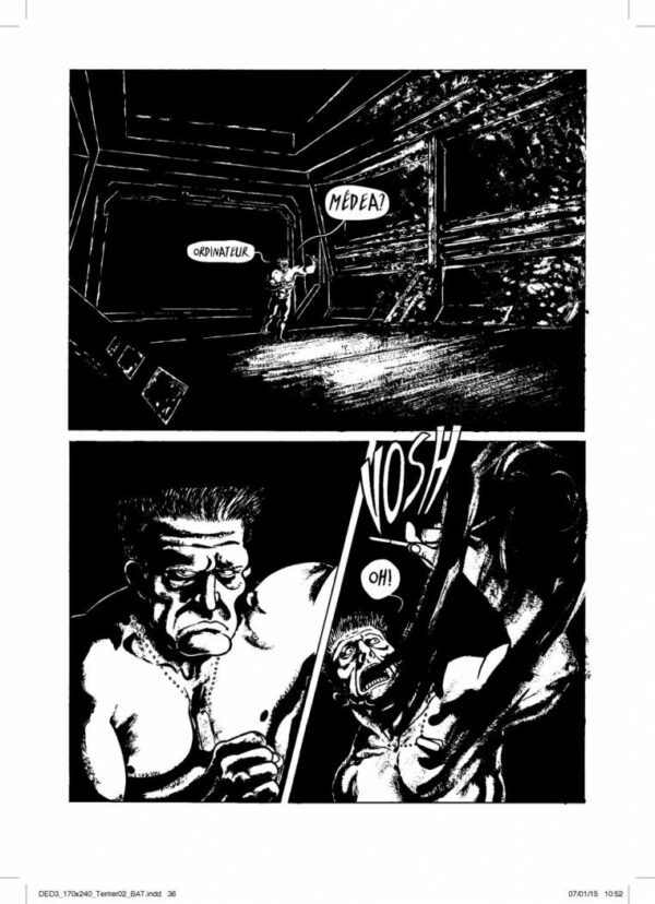Le terrier – Image 3